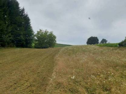 Bild 3:Mulcharbeiten