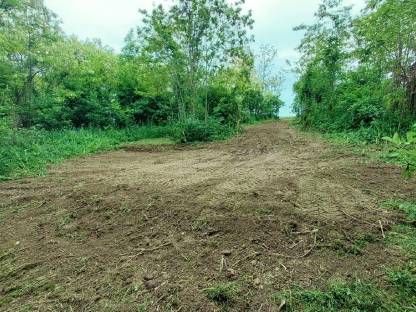 Tausche Waldgrundstück mit Lichtung Nähe Zistersdorf