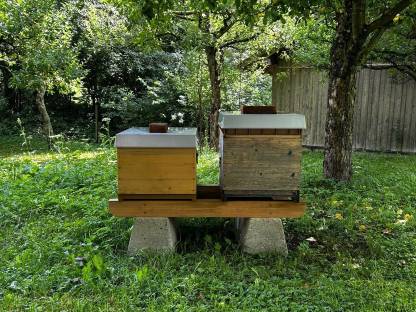 Bild 2:Bienenvölker - Dadant US