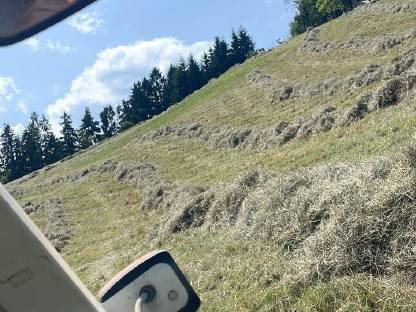 Gärheu zu verkaufen