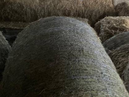Bild 8:Heu Rundballen 1. und 2. Schnitt 2024