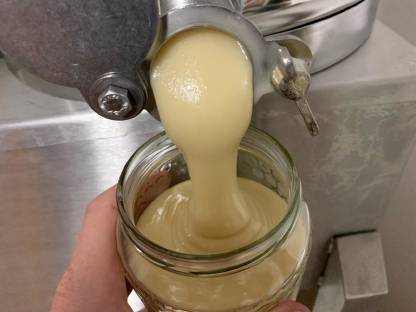 Bild 2:Sommertracht-Honig