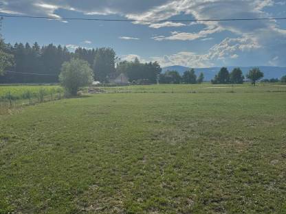 Bild 6:Einstellplatz in Offenstallhaltung