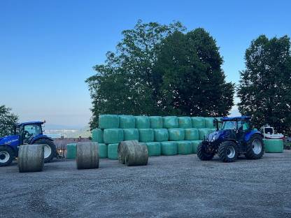 Bild 4:HEU-HEULAGE-SILAGE