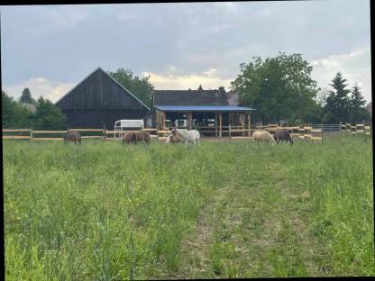 Bild 2:Einstellplatz in einem Naturparadies