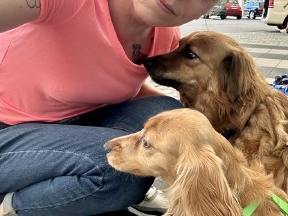 Tierliebe Vermieter:innen gesucht