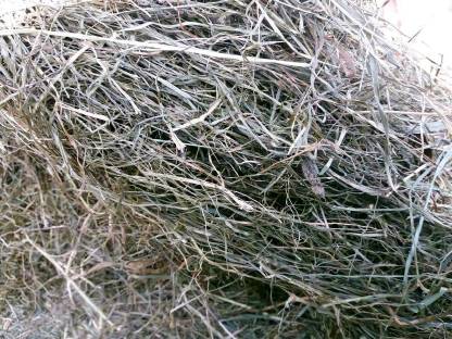 Bild 3:Silo Gärheu Heulage Rundballen