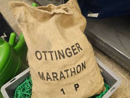 Ottinger Schneeketten