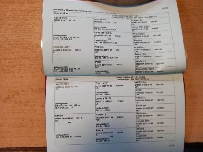 Bild 4:Verkaufe Haflinger Jährlings Stute