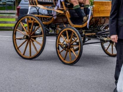 Linzer Wagerl, Spider-Kutsche, Dressurwagen - Noriker Haflin