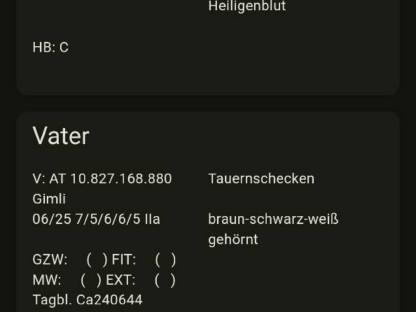 Bild 2:Tauernschecken Kitze