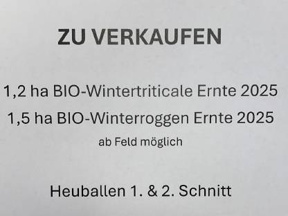 BIO-Triticale Ernte 2025