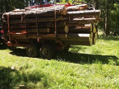 Bild 5:Forstanhänger, Rückeanhänger, Hölzhänger, Krananhänger