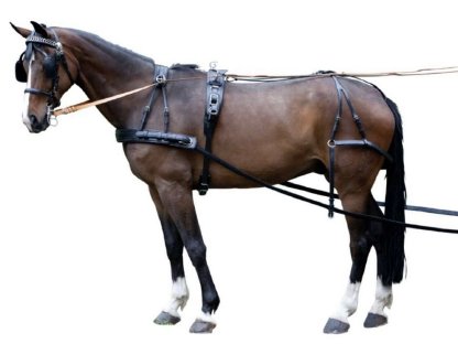 Bild 2:Einspänner Brustblattgeschirr inkl. Zubehör