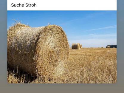 Suche Strohballen