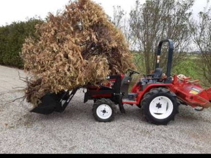 Bild 5:Kleintraktor Set, 4 Anbauteile, Yanmar