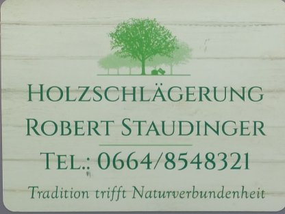 Forstdienstleistung Forstarbeit in Niederösterreich