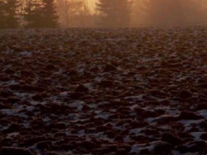 Bild 2:Äcker und Wiesen