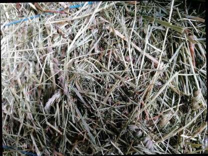 Bild 4:Verkaufe Kleinheuballen ca. 18 kg