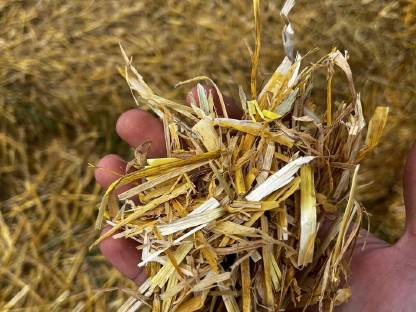 Bild 4:Stroh Ernte 2025