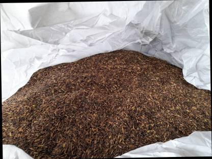 Bio Schwarzhafer, Futterhafer, Bio Gelbhafer, Pferdefutter