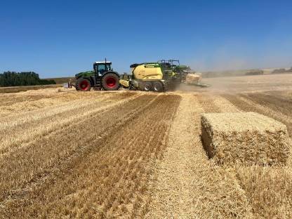 Stroh Vorbestellung Ernte 2025