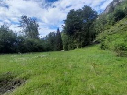 Wiese ca. 1 ha zu verpachten, Bereich Ferlach