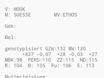 Bild 5:Verkaufe Fleckviehstiere