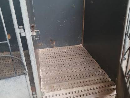 kälber boxen