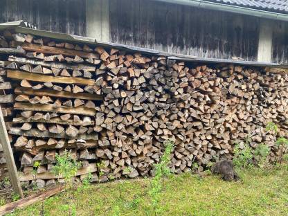Bild 2:Brennholz