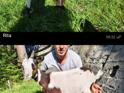 Bild 3:Tauernschecken Kitze