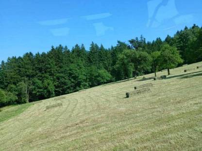 Bild 5:Greenland Quaderballenpresse