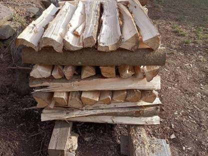 Bild 3:Brennholz, weich