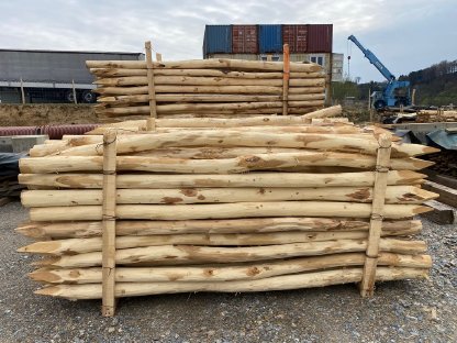 Bild 8:Akazienpfähle