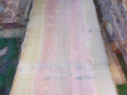 Bild 6:Holzbohlen - Eiche, Esche, Kastanie, Nuss, Kirsche