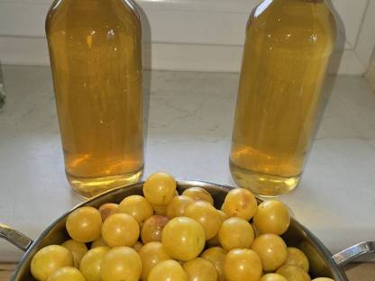 Kriecherlgelee, Marmelade und Heidelbeermarmelade