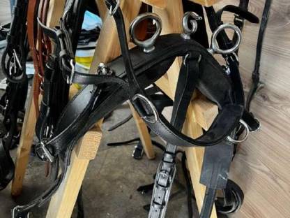 Bild 3:2-Spänner Shetty-Geschirr