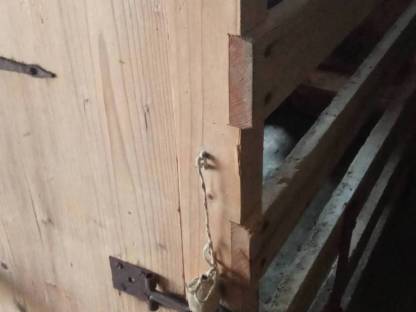 Saustaing Transport Box Junggesellenabschied