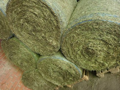 Bild 4:Heu