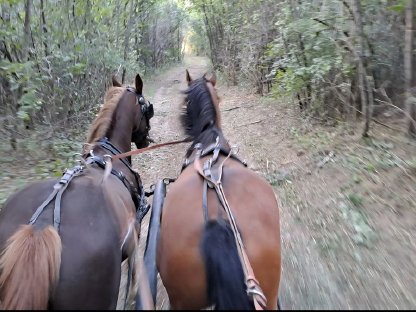 Bild 5:Freizeitgespann