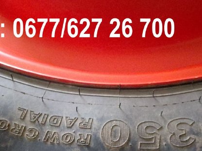 Bild 4:Pflegeräder, Kulturräder, Hackfruchträder Claas Arion