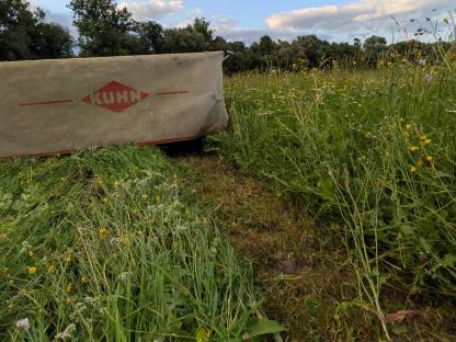 Bild 2:Bio-Austria Heuballen