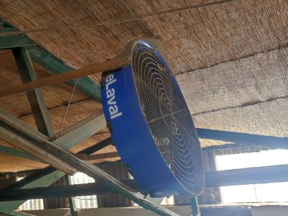 Bild 3:DeLaval DDF1200-1 Stallventilatoren mit Steuerung (2 Stk.)