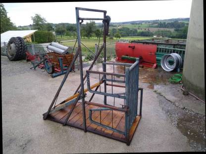 Bild 3:Besamungsstand/Sprungstand