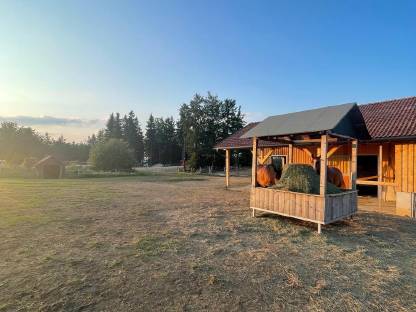 Bild 5:Einstellplatz im Offenstall