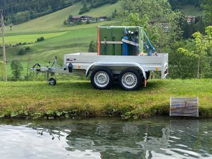 Bild 7:Saibling, Setzlinge, Elsässer Saibling, Besatzfische