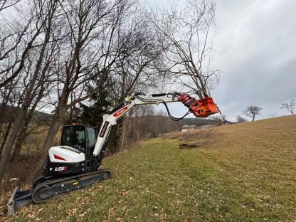 Bild 9:Professionelle Problembaumentfernung