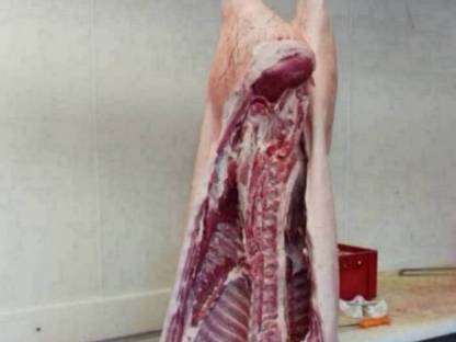 Bild 2:Schweinehälften