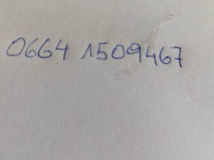 Bild 5:Motormäher Rasant