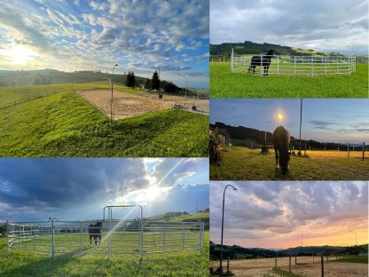 Bild 8:Pferde-Einstellplatz